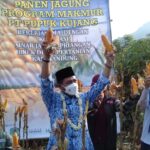 Gebyar Perbenihan Tanaman Pangan Nasional IX (1)